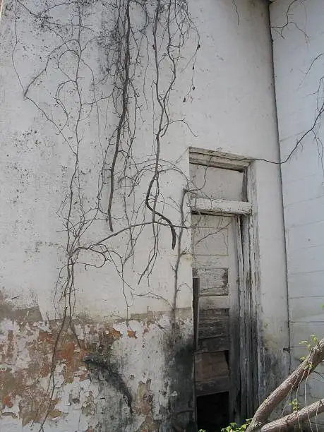 "shot of an abandoned factory that's been overgrown, broken down, etc."