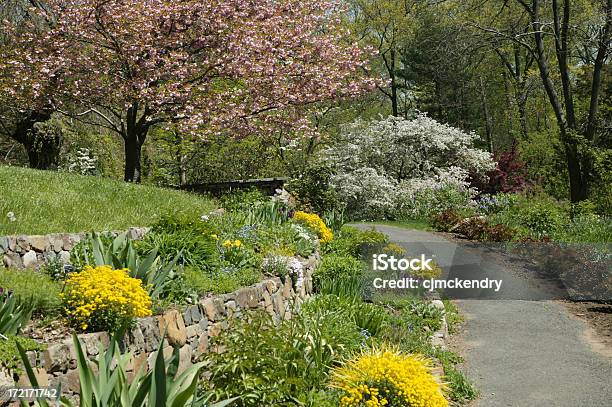 Giardino Zen Di Percorso - Fotografie stock e altre immagini di Aiuola - Aiuola, Albero, Ambientazione esterna