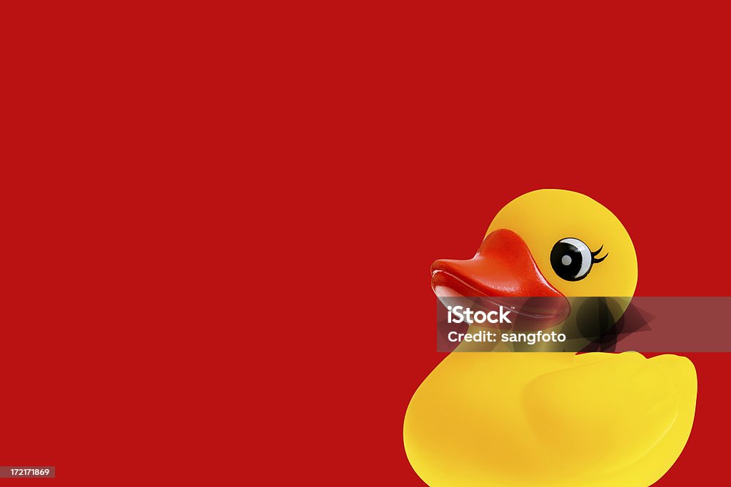 Duckie - Foto stock royalty-free di Animale