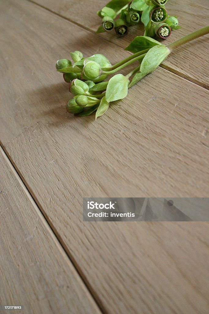 Chão de madeira - Foto de stock de Calor royalty-free