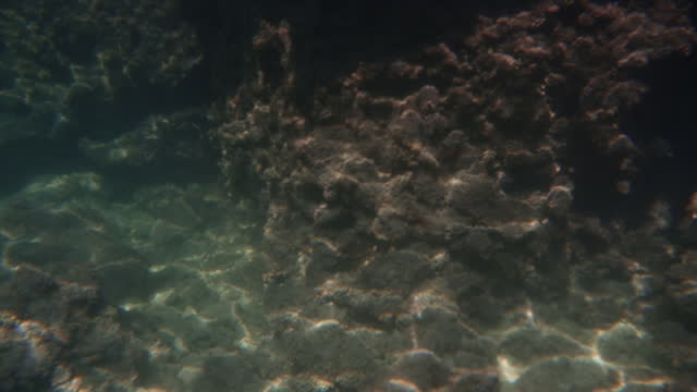 Underwater rocks and corals in the rays of sunlight, underwater footage.