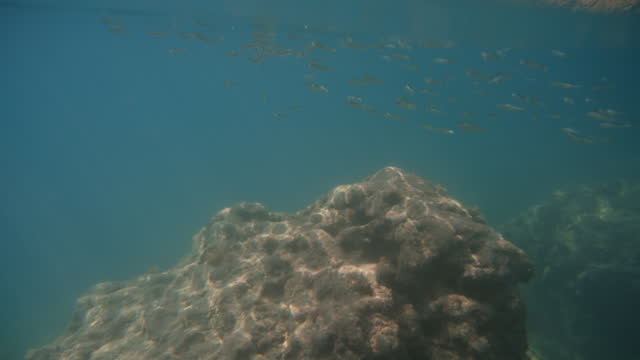 The camera underwater captures the blue seawater and a school of small fish near the underwater rocks. Then the camera resurfaces, revealing people standing near the cliff on the surface.