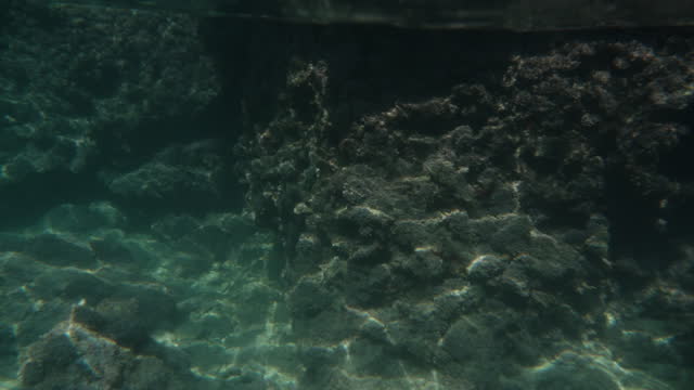 A panoramic view of the sea cliffs from underwater, capturing two perspectives: the cliffs above water and below water.
