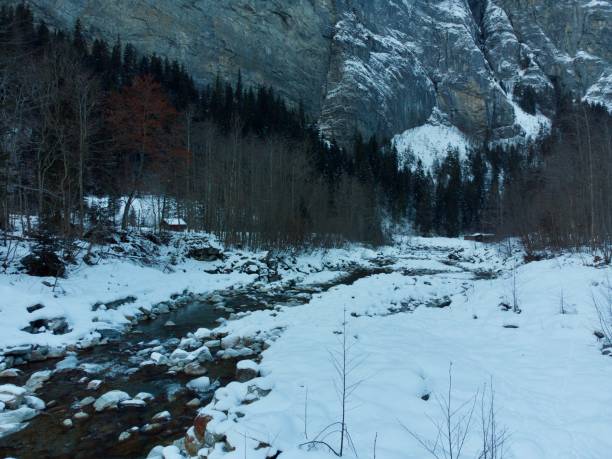 lauterbrunnen スイスの - jungfrau waterfall tree nature ストックフォトと画像