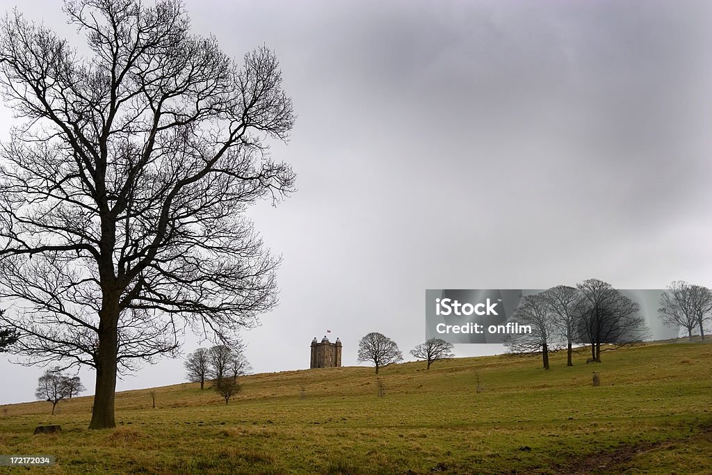 Vehemente clima - Foto de stock de Aire libre libre de derechos