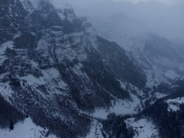 lauterbrunnen スイスの - jungfrau waterfall tree nature ストックフォトと画像