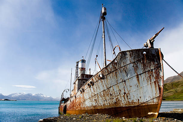 old whaler schiff grytviken south georgia - walfang stock-fotos und bilder