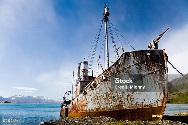 旧ホエーラー船 Grytviken 南ジョージア - アーネスト シャックルトンのストックフォトや画像を多数ご用意 - アーネスト シャックルトン, 捕鯨, 残骸
