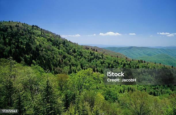 블루 리지 산맥의 숲에 대한 스톡 사진 및 기타 이미지 - 숲, 하늘, 그레이트 스모키 산맥 국립 공원