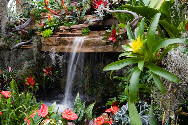 Small waterfall surrounded by red and yellow flowers Tropical plants and waterfall.  Great background. orchid photos stock pictures, royalty-free photos & images