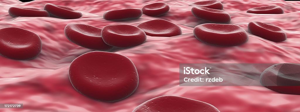 Cellule del sangue - Foto stock royalty-free di Cellula umana