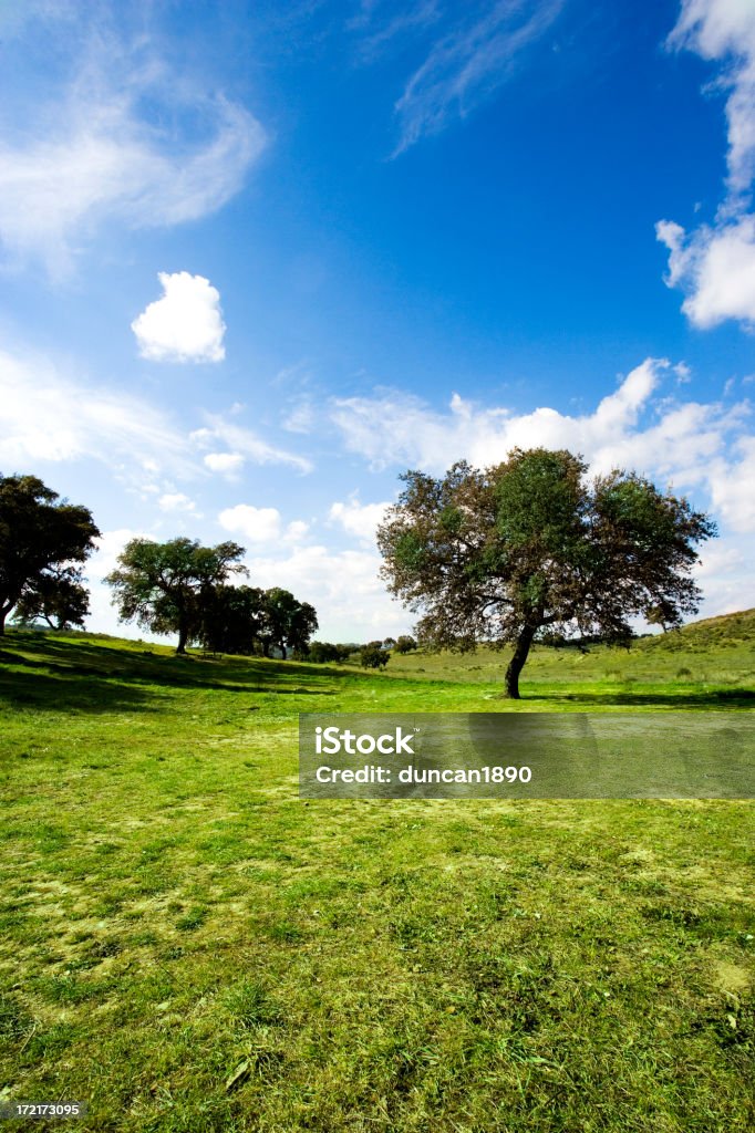 Sommer-Landschaft - Lizenzfrei Agrarbetrieb Stock-Foto