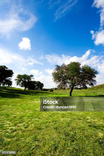 Sommerlandschaft Stockfoto und mehr Bilder von Agrarbetrieb - Agrarbetrieb, Andalusien, Baum