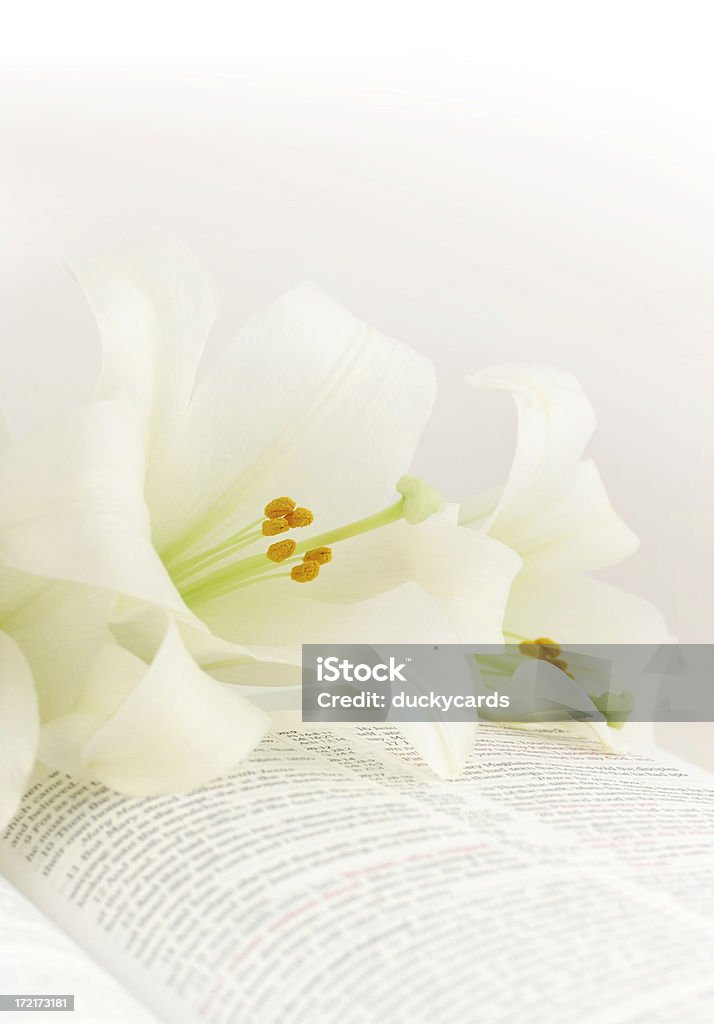 Pascua sobre una Biblia KJV lilies - Foto de stock de Lirio libre de derechos