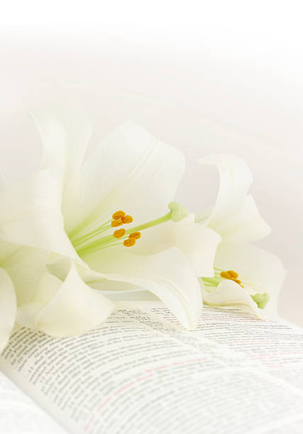 pascua sobre una biblia kjv lilies - kjv fotografías e imágenes de stock