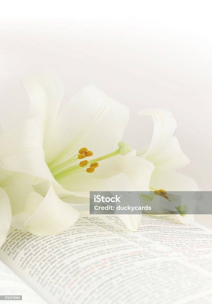 Пасхальные лилии на KJV Библия - Стоковые фото Лилия роялти-фри