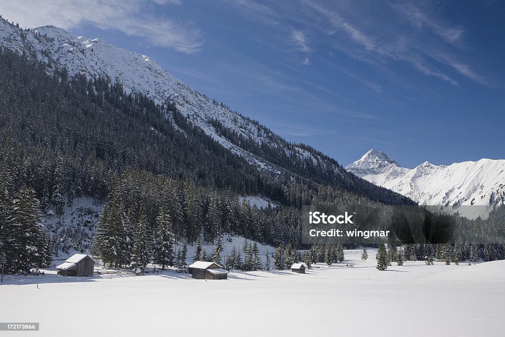 alpine Capanna III - Foto stock royalty-free di Abbandonato