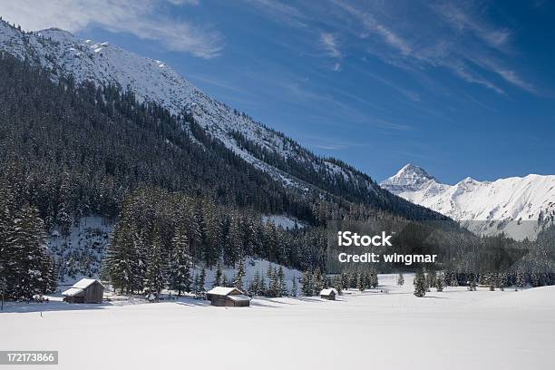 Alpine Capanna Iii - Fotografie stock e altre immagini di Abbandonato - Abbandonato, Albero, Alpi