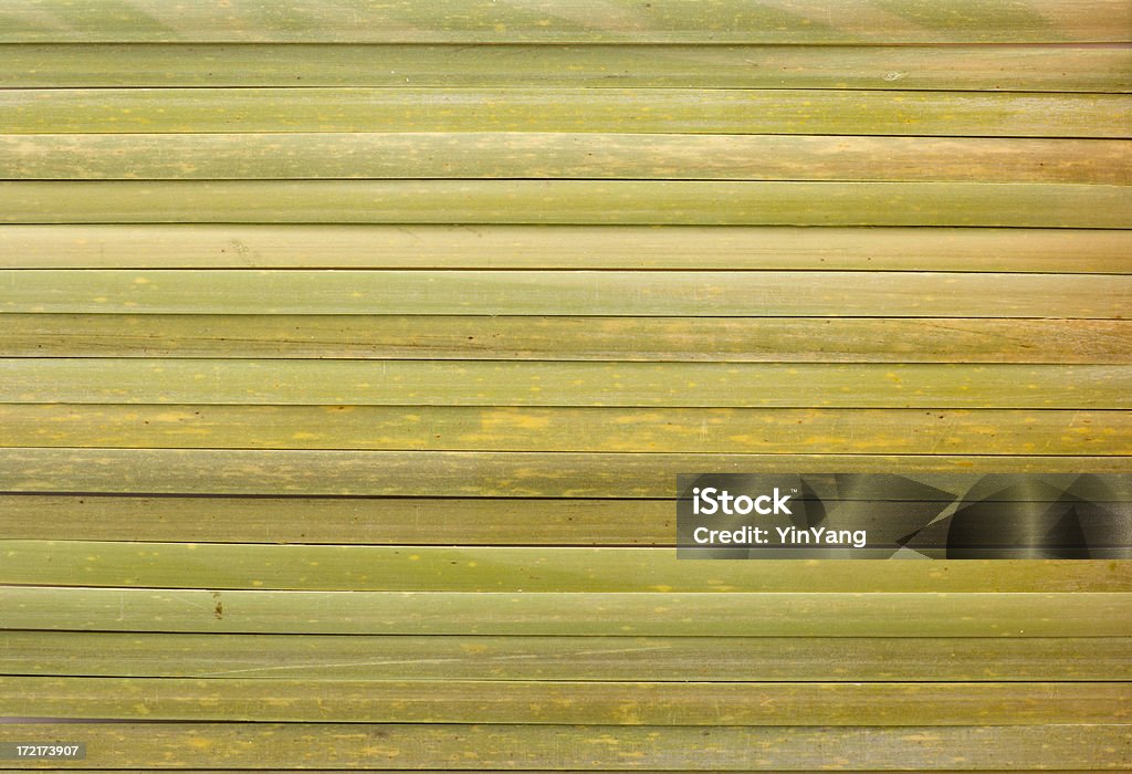 Textura de bambú verde - Foto de stock de Abstracto libre de derechos