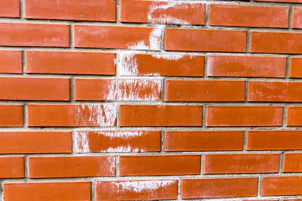 White color efflorescence on new red bricks wall