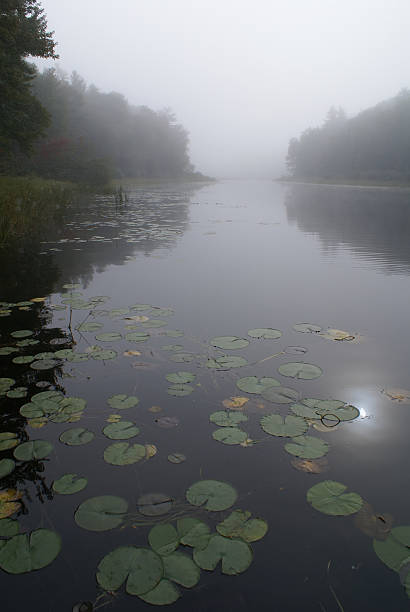 istock Calm Morning On The Bay 172174038