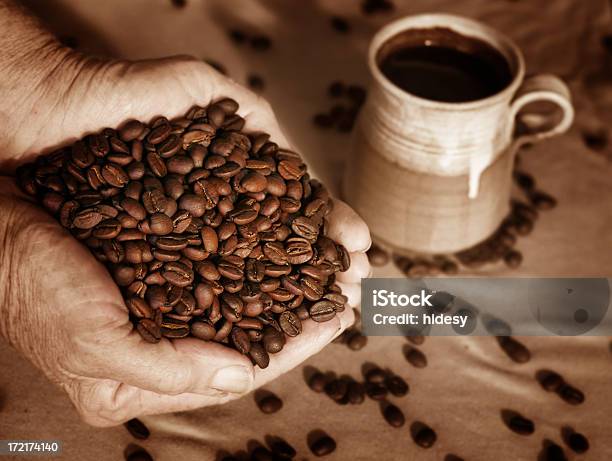 ローストのコーヒー豆 - オーガニックのストックフォトや画像を多数ご用意 - オーガニック, カフェイン, コーヒー