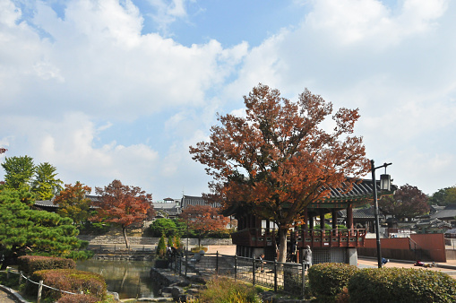 Seoul, South Korea - October 23, 2022: Traditional Korean Wooden Pagoda and Autumn Foliage trees. There are tourists walk and sit around.