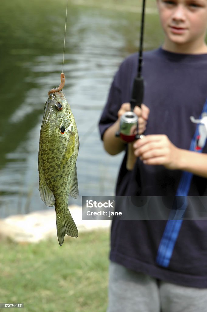 Pesca del día - Foto de stock de Gusano libre de derechos