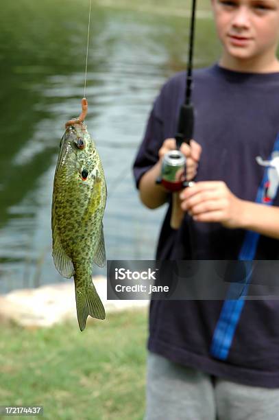 Catch Of The Day Stock Photo - Download Image Now - Sunfish, Worm, Adolescence