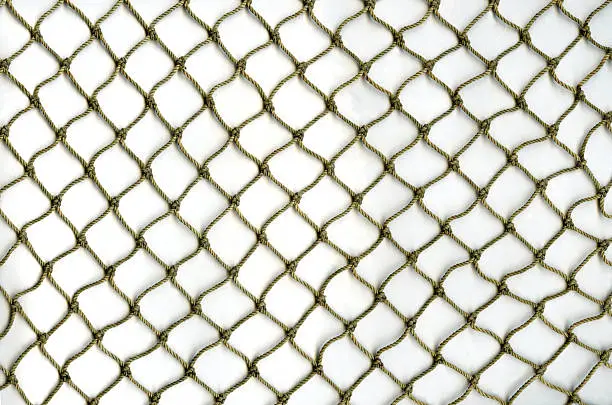 Photo of XXL Fish Net