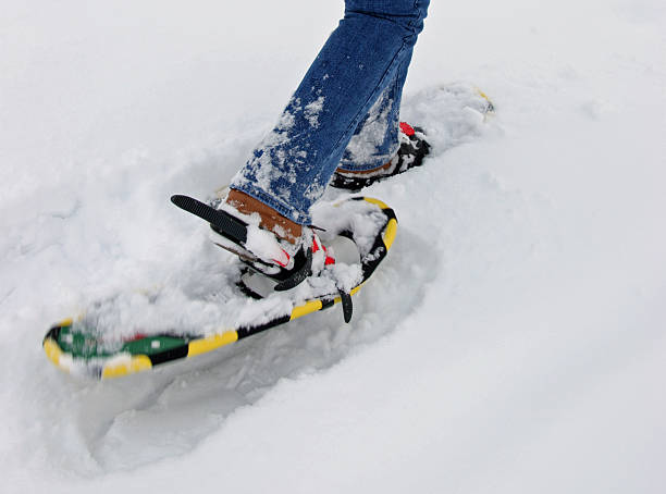 istock Closeup of Snowshoes 172175534