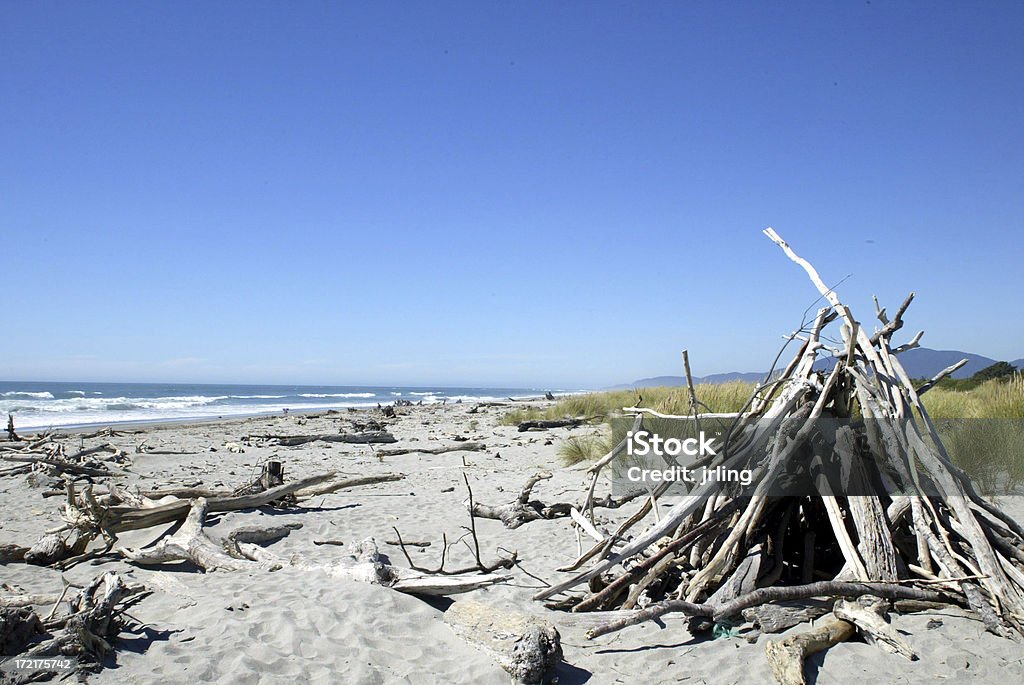 Driftwood en la playa 1 - Foto de stock de Arena libre de derechos