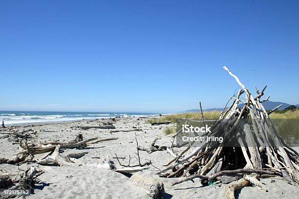 Driftwood En La Playa 1 Foto de stock y más banco de imágenes de Arena - Arena, Contemplación, Desierto