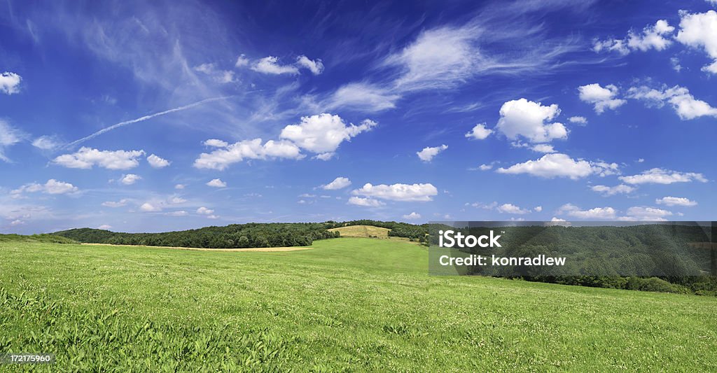 Champ Paysage vert - Photo de Agriculture libre de droits