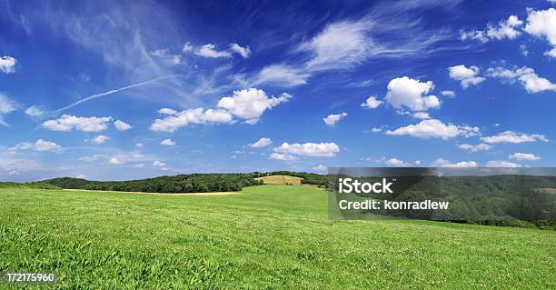 Photo libre de droit de Champ Paysage Vert banque d'images et plus d'images libres de droit de Agriculture - Agriculture, Bleu, Blé