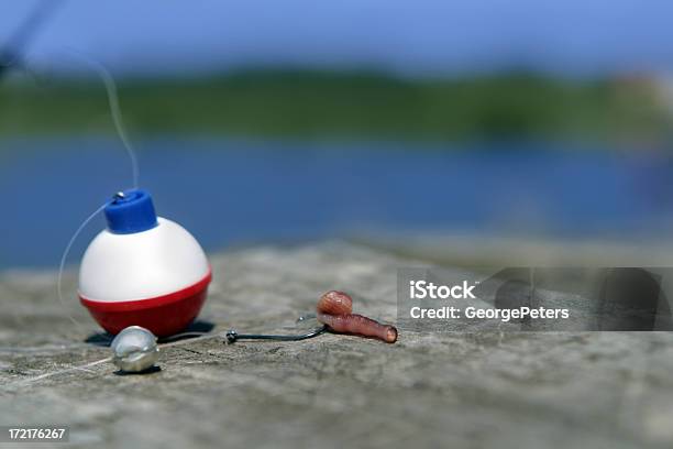 Galleggiante - Fotografie stock e altre immagini di Canna da pesca - Canna da pesca, Verme, Amo da pesca