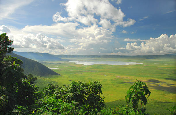 cráter área de conservación de ngorongoro, tanzania - cráter fotografías e imágenes de stock