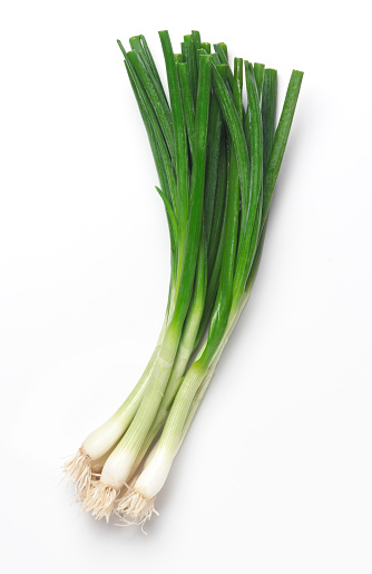 Fresh scallions on white with soft shadow.