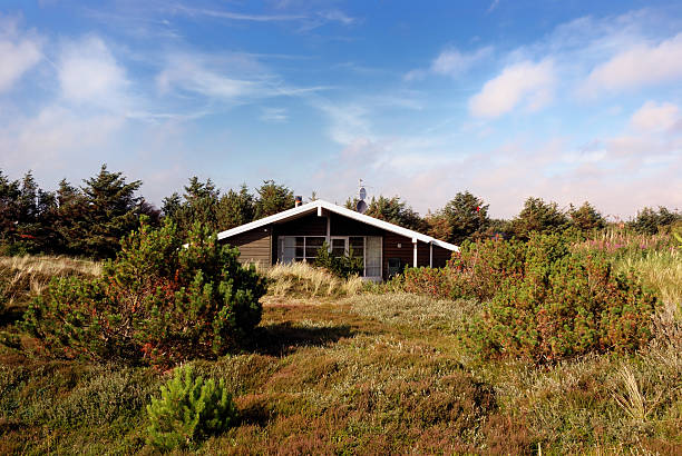 scheinbeerensträuchern und dünen - denmark architecture nature rural scene stock-fotos und bilder