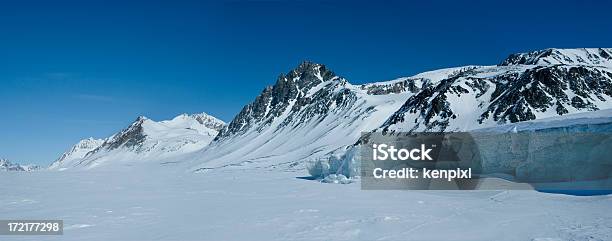 Arctic Glacier Stock Photo - Download Image Now - Adventure, Animal, Arctic