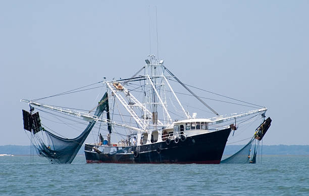 Shrimp Fishing Boat Shrimp fishing boat off the south eastern coast line. big game fishing stock pictures, royalty-free photos & images