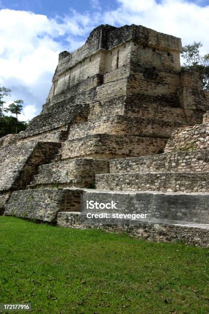 Photo libre de droit de Temple Maya Caracol Belize banque d'images et plus d'images libres de droit de Amérique centrale - Amérique centrale, Antique, Architecture