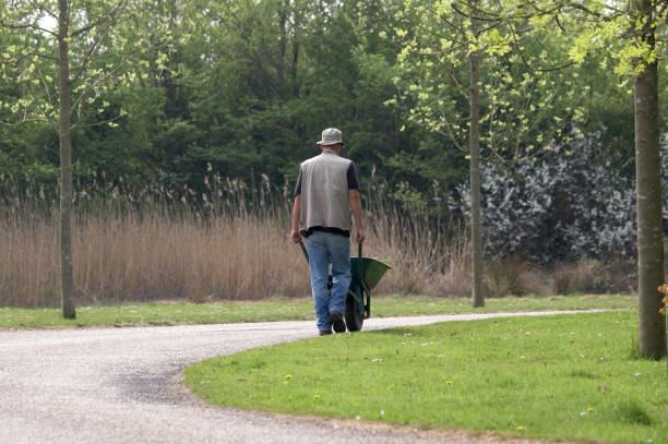 istock Man pushing a wheelbarrow in countryside 172178143
