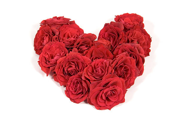 istock Heart Made of Roses 172178641