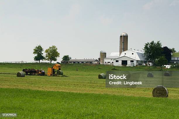 Amisze Farm Podczas Zbiorów - zdjęcia stockowe i więcej obrazów Ameryka - Ameryka, Amisze, Bezchmurne niebo