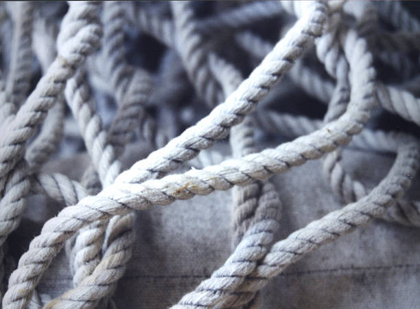 bunch of ropes. stock photo