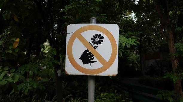 istock Sign prohibiting flower plucking 1721797784