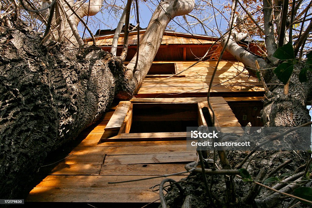 Big Hunkin'Tree House - Lizenzfrei Aufnahme von unten Stock-Foto