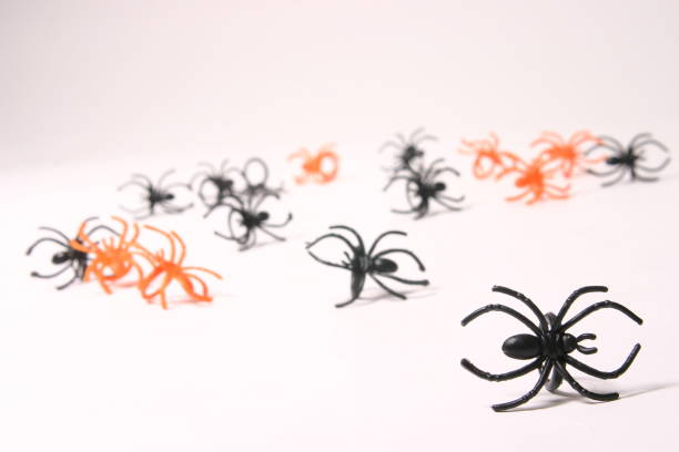 Shallow DOF.  The focus in on the spider ring on the right.