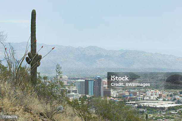 Tucson City With Cactus Stock Photo - Download Image Now - Tucson, Arizona, Cactus